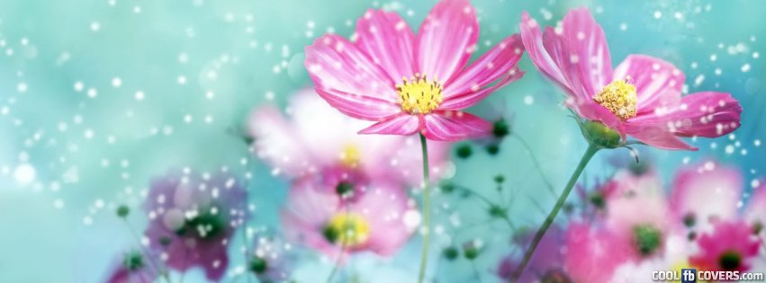 facebook covers flowers and quotes