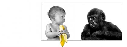 The Baby And Monkey Versus Facebook Covers