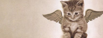 Angel Kitty Timeline Covers Facebook Covers