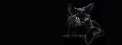 Black Cat Timeline Cover Facebook Covers