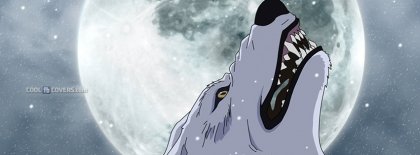 Wolf Rain 2 Anime Facebook Covers